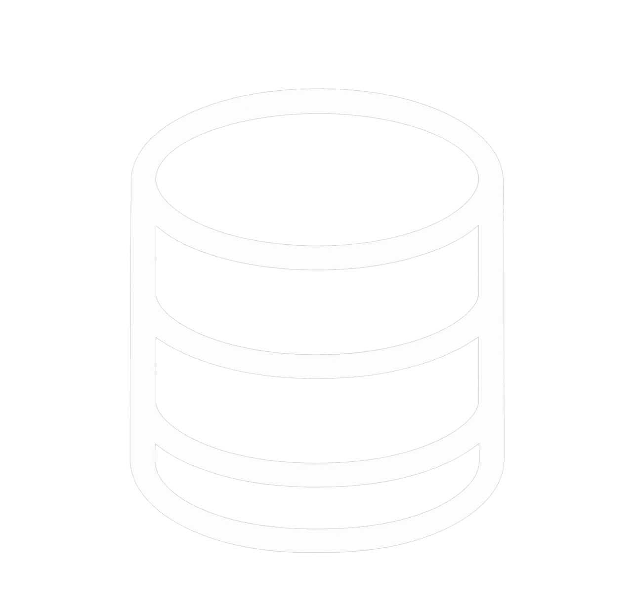 dns logo